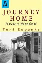Book cover of Journey Home by Toni Eubanks