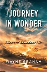 Book cover of Journey in Wonder by Wayne Graham