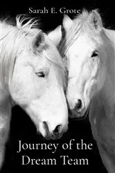 Book cover of Journey of the Dream Team by Grote, Sarah, E