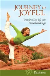 Book cover of Journey to Joyful by Dashama Konah Gordon