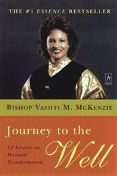 Book cover of Journey to the Well by Vashti M. McKenzie