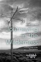 Book cover of Journeying in the Wilderness by Terri Martinson Elton