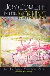 Book cover of Joy Cometh in the Morning by Judy Madsen Johnson