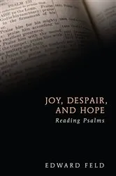 Book cover of Joy, Despair, and Hope by Edward Feld