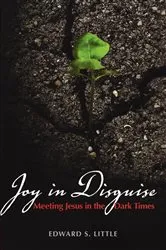 Book cover of Joy in Disguise by Edward S. Little
