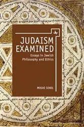 Book cover of Judaism Examined by Moshe Sokol