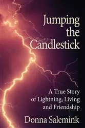 Book cover of Jumping the Candlestick by Donna Salemink
