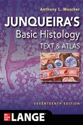 Book cover of Junqueira's Basic Histology: Text and Atlas, Seventeenth Edition (17th ed.) by Anthony L. Mescher