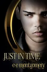 Book cover of Just In Time by Addison Fox