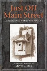 Book cover of Just Off Main Street by Steven Mulak