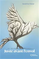 Book cover of Juste avant l'envol by Sandrine CLARAC