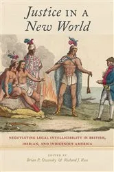 Book cover of Justice in a New World by Brian P. Owensby