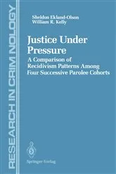 Book cover of Justice Under Pressure by H.-J. Joo