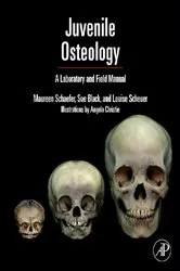 Book cover of Juvenile Osteology by Louise Scheuer
