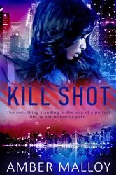 Book cover of Kill Shot by Vince Flynn