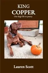 Book cover of King Copper by Lauren Scott