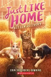 Book cover of Kitten Delivery (Just Like Home, Book Two) by Erin Soderberg Downing