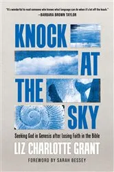 Book cover of Knock at the Sky by Liz Charlotte Grant