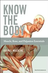 Book cover of Know the Body: Muscle, Bone, and Palpation Essentials by Joseph E. Muscolino DC