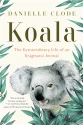 Book cover of Koala: The Extraordinary Life of an Enigmatic Animal by Danielle Clode