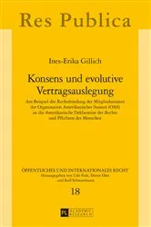 Book cover of Konsens und evolutive Vertragsauslegung by Udo Fink