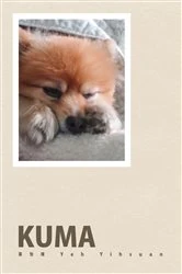 Book cover of KUMA -  mon petit by Yihsuan Yeh