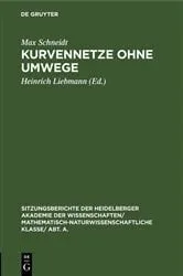 Book cover of Kurvennetze ohne Umwege by Max Schneidt