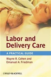 Book cover of Labor and Delivery Care by Wayne R. Cohen