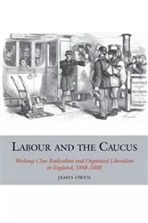 Book cover of Labour and the Caucus by James Owen