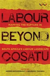 Book cover of Labour Beyond Cosatu by Andries Bezuidenhout