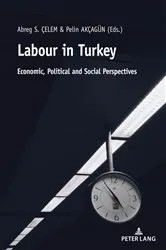Book cover of Labour in Turkey by Abreg Çelem