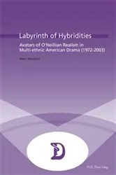Book cover of Labyrinth of Hybridities by Marc Maufort