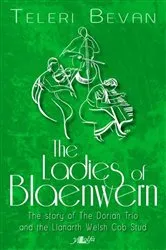 Book cover of Ladies of Blaenwern by Teleri Bevan