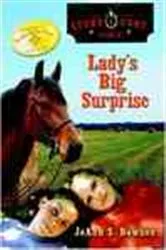 Book cover of Lady’s Big Surprise by JoAnn Dawson