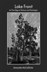 Book cover of LAKE FRONT by Amanda McCallister