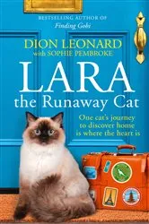 Book cover of Lara The Runaway Cat by Unknown