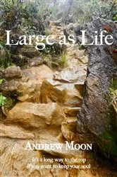Book cover of Large As Life by Andrew Moon