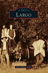 Book cover of Largo by James Anthony Schnur