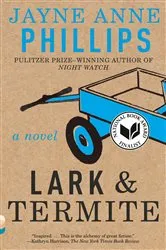 Book cover of Lark and Termite by Jayne Anne Phillips