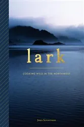 Book cover of Lark by John Sundstrom