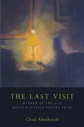 Book cover of Last Visit by Chad Abushanab