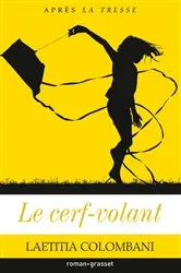 Book cover of Le cerf-volant by Laetitia Colombani