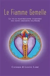 Book cover of Le Fiamme Gemelle by Catherine e Ludovic LABBÉ
