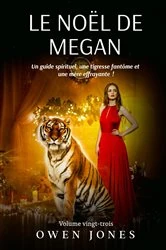 Book cover of Le Noël de Megan by Owen Jones