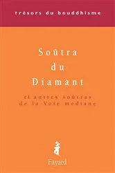 Book cover of Le Soûtra du Diamant by Patrick Carré