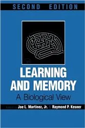 Book cover of Learning and Memory (2nd ed.) by Joe L. Martinez Jr.