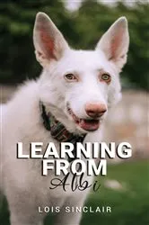 Book cover of Learning from Albi by Lois Sinclair