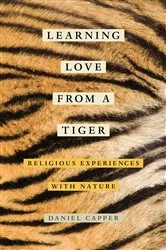 Book cover of Learning Love from a Tiger by Daniel Capper
