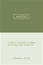 Book cover of learning to ABIDE by Adriana Lechin