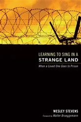 Book cover of Learning to Sing in a Strange Land by Wesley F. Stevens
